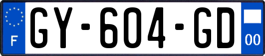 GY-604-GD