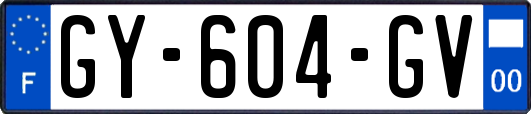 GY-604-GV