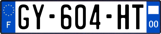 GY-604-HT