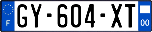 GY-604-XT