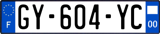 GY-604-YC