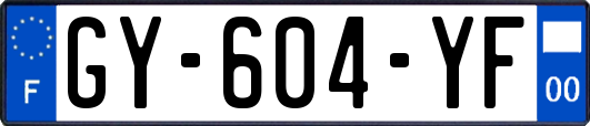 GY-604-YF