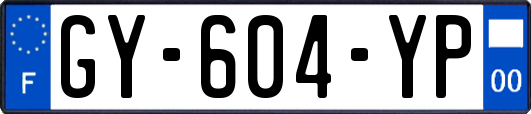 GY-604-YP