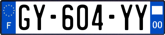GY-604-YY