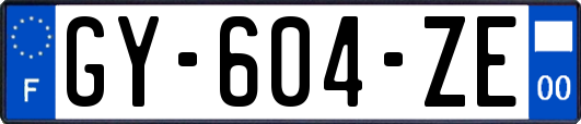 GY-604-ZE