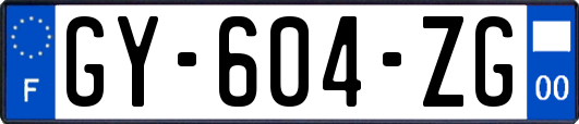 GY-604-ZG