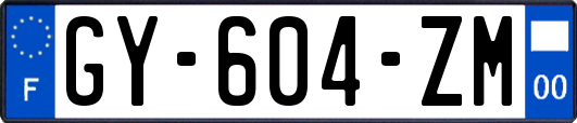 GY-604-ZM