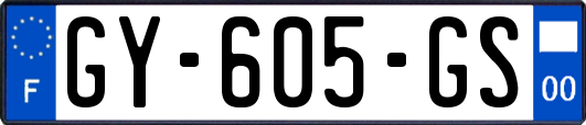 GY-605-GS