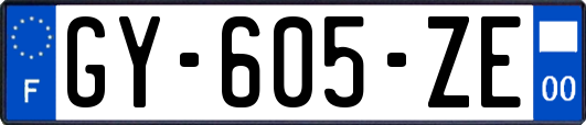 GY-605-ZE