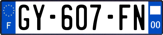 GY-607-FN