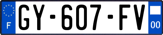 GY-607-FV