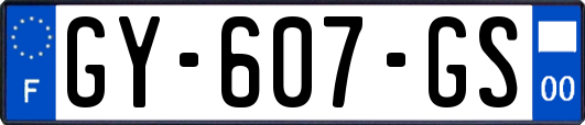 GY-607-GS