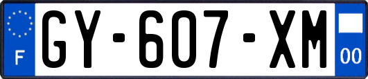 GY-607-XM
