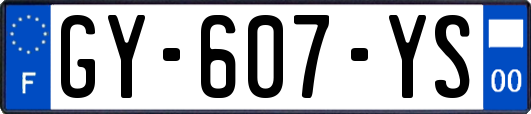 GY-607-YS