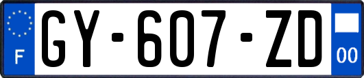 GY-607-ZD