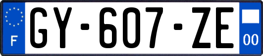 GY-607-ZE