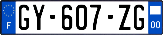 GY-607-ZG