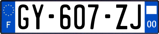 GY-607-ZJ