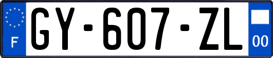 GY-607-ZL