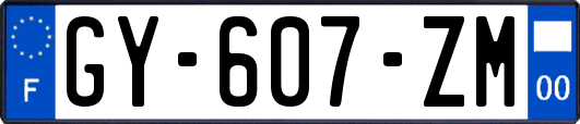 GY-607-ZM