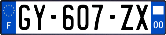 GY-607-ZX