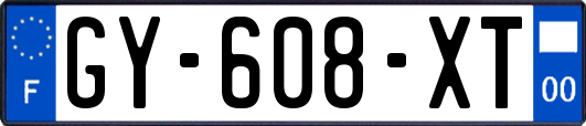 GY-608-XT