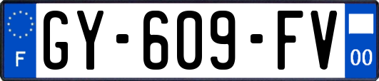 GY-609-FV