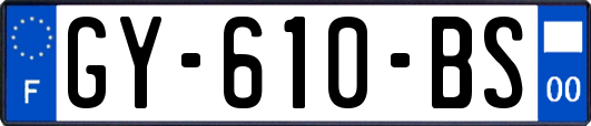 GY-610-BS