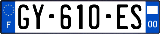 GY-610-ES
