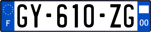 GY-610-ZG