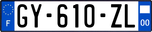 GY-610-ZL