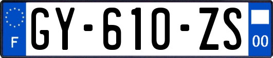 GY-610-ZS