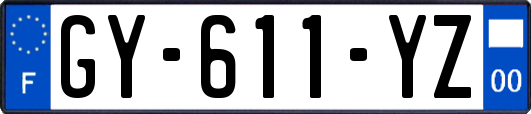GY-611-YZ