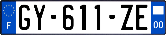 GY-611-ZE