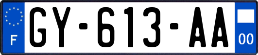 GY-613-AA