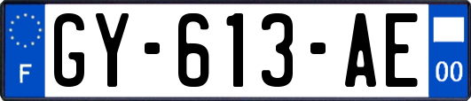 GY-613-AE