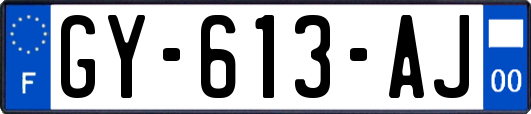 GY-613-AJ