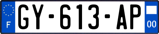 GY-613-AP
