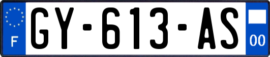 GY-613-AS