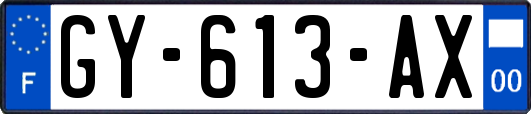 GY-613-AX