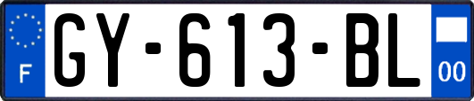 GY-613-BL