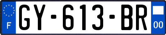 GY-613-BR