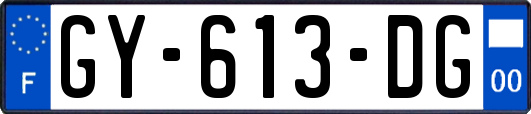 GY-613-DG