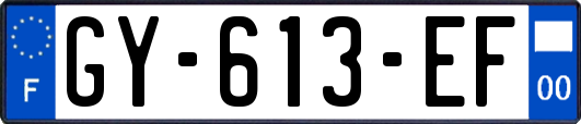 GY-613-EF