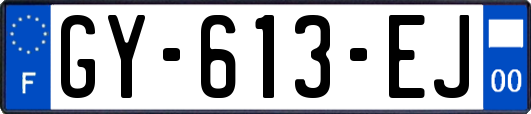 GY-613-EJ