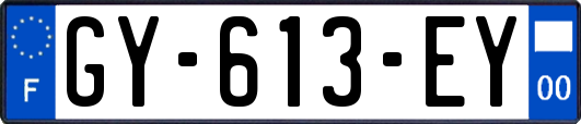 GY-613-EY