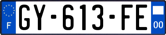 GY-613-FE