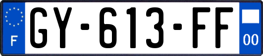 GY-613-FF