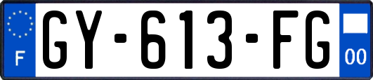 GY-613-FG