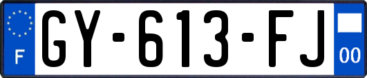 GY-613-FJ